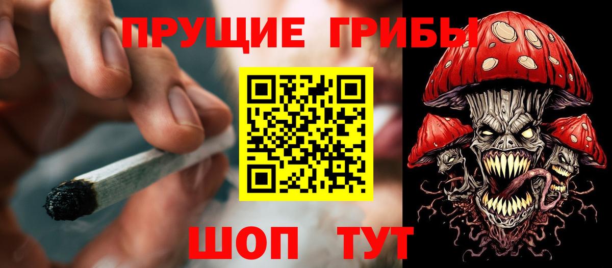 Димитровград  Галлюциногенные грибы MAGIC MUSHROOMS  Вход с VPN 