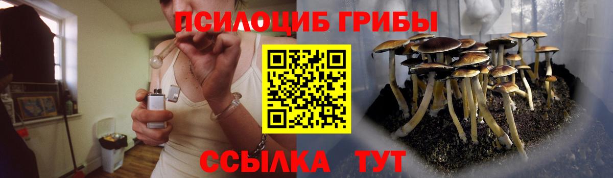 Псилоцибиновые грибы мицелий Димитровград